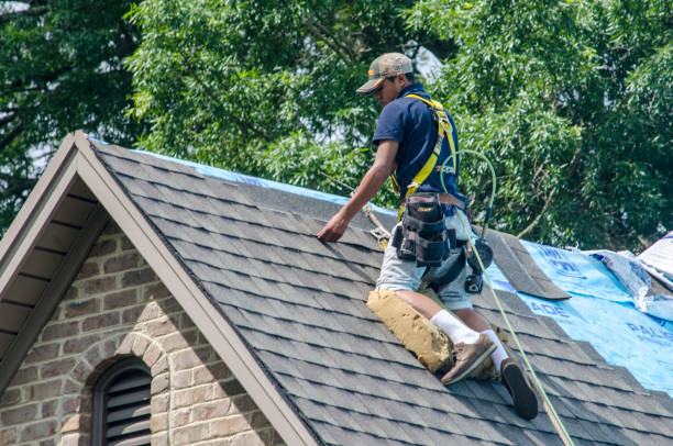 Roof Gutter Cleaning in Lake Tansi, TN